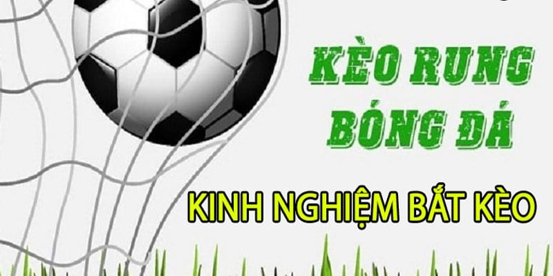 Kinh nghiệm dự đoán Running Ball ấn tượng