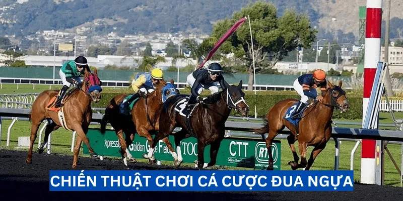 chien-thuat-choi-ca-cuoc-dua-ngua