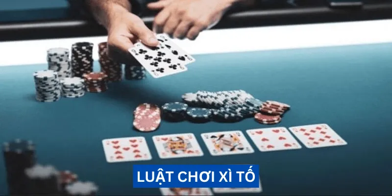 luat-choi-xi-to