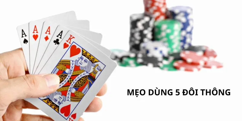 meo-dung-5-doi-thong