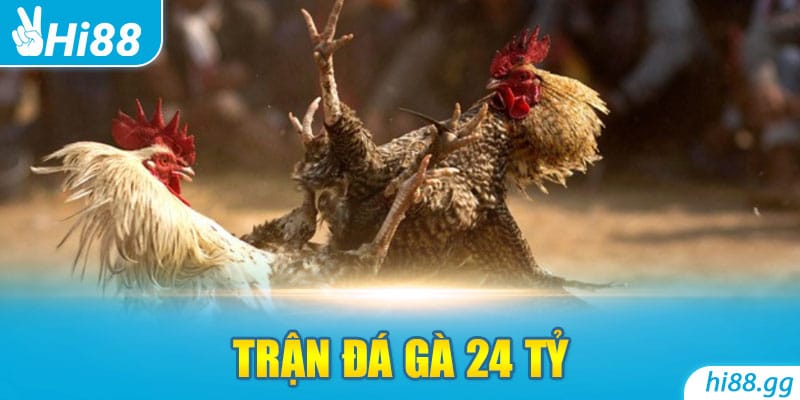 Trận Đá Gà 24 Tỷ - Khám Phá 04 Sức Hút Từ Ván Đấu Triệu Đô